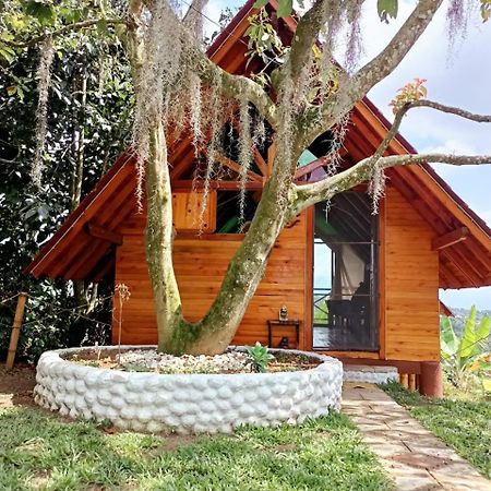 Cabanas La Miranda Filandia Exteriér fotografie
