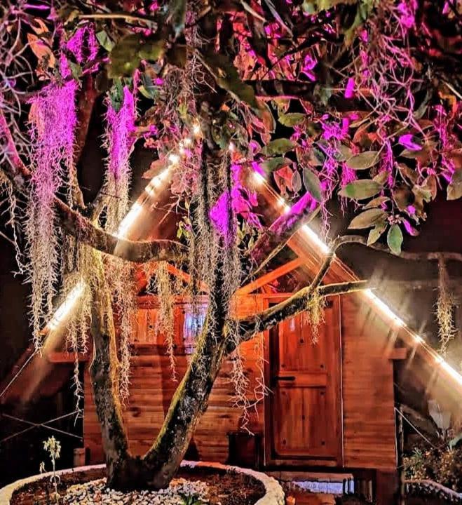 Cabanas La Miranda Filandia Exteriér fotografie