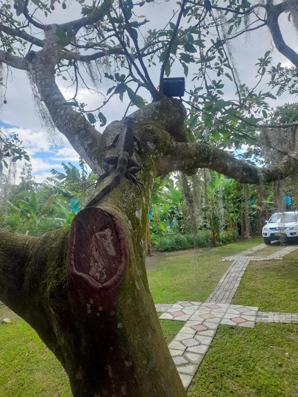 Cabanas La Miranda Filandia Exteriér fotografie