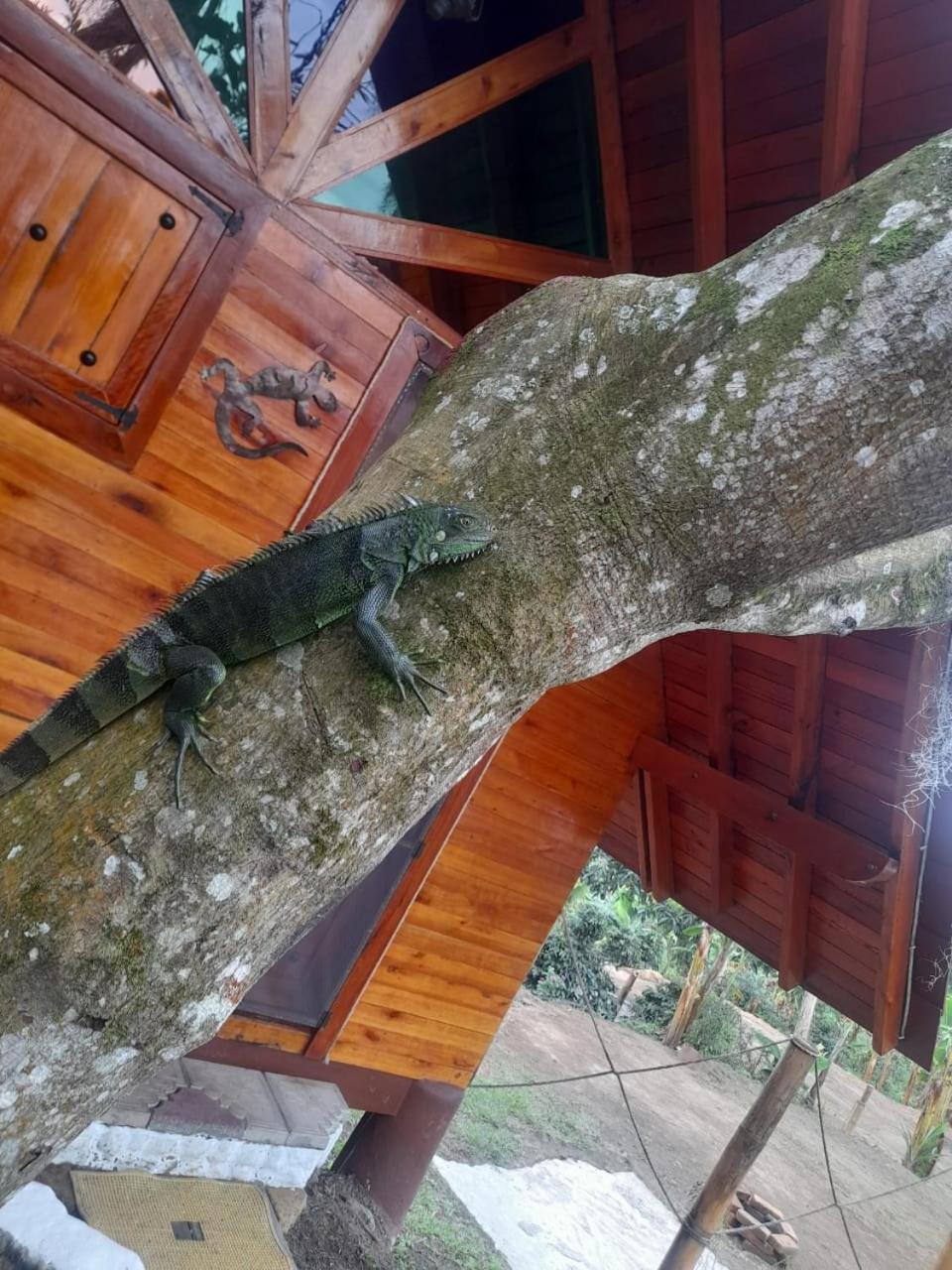 Cabanas La Miranda Filandia Exteriér fotografie