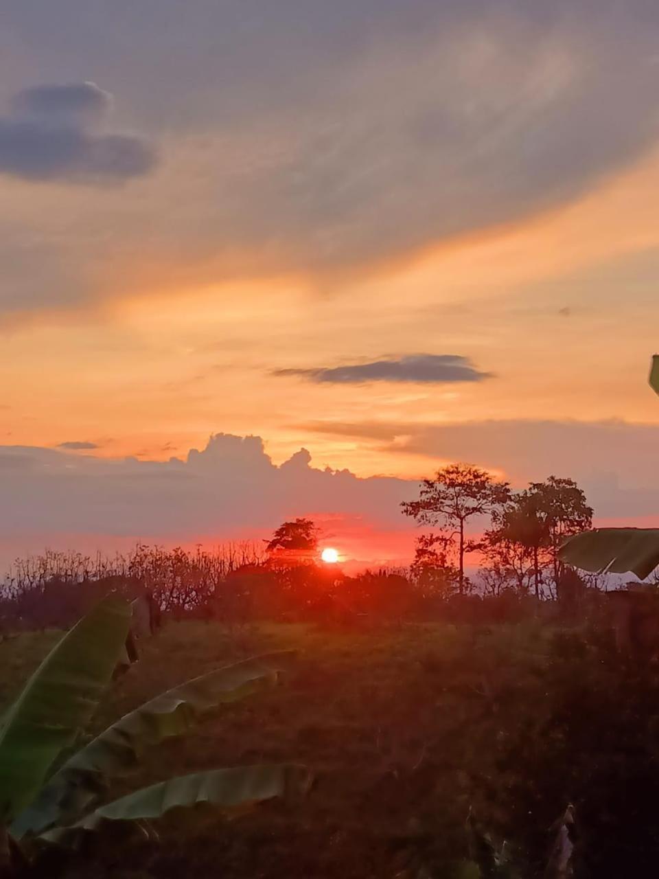 Cabanas La Miranda Filandia Exteriér fotografie