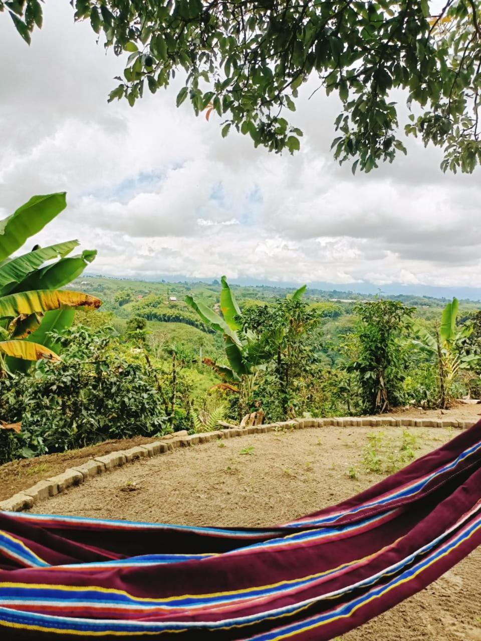 Cabanas La Miranda Filandia Exteriér fotografie