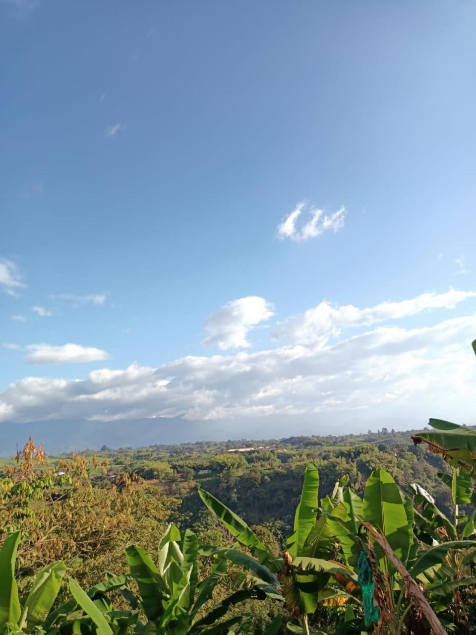 Cabanas La Miranda Filandia Exteriér fotografie