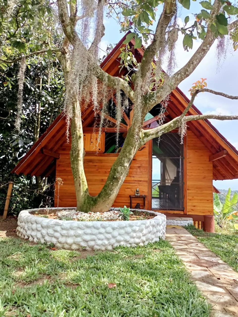 Cabanas La Miranda Filandia Exteriér fotografie