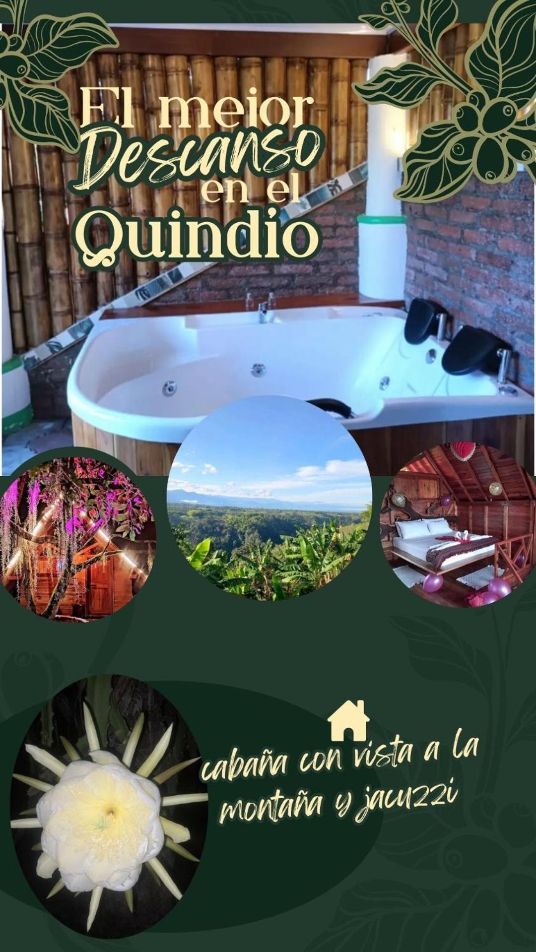 Cabanas La Miranda Filandia Exteriér fotografie
