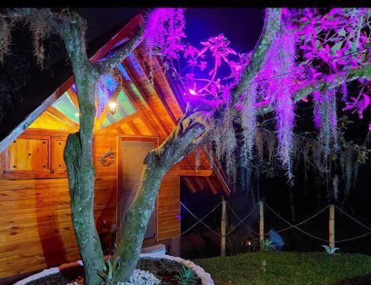 Cabanas La Miranda Filandia Exteriér fotografie