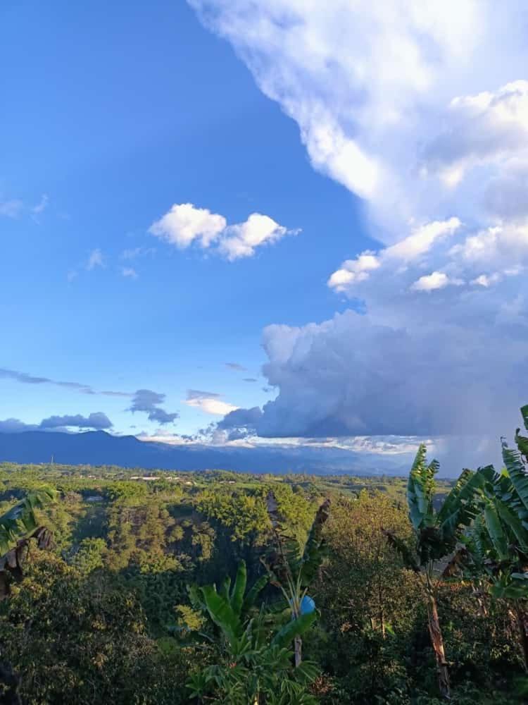 Cabanas La Miranda Filandia Exteriér fotografie